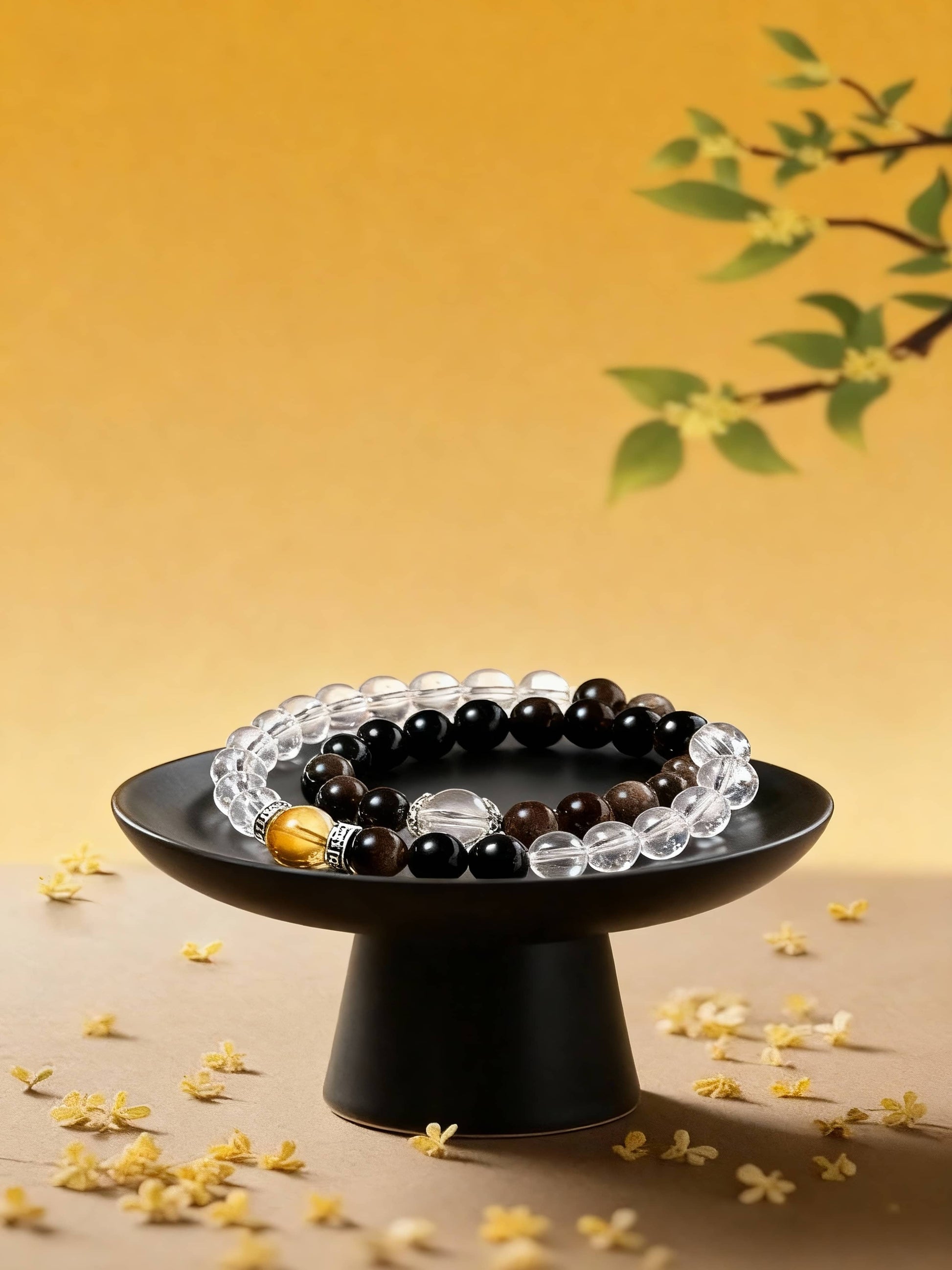 Awakening Light｜Tai Chi Collection