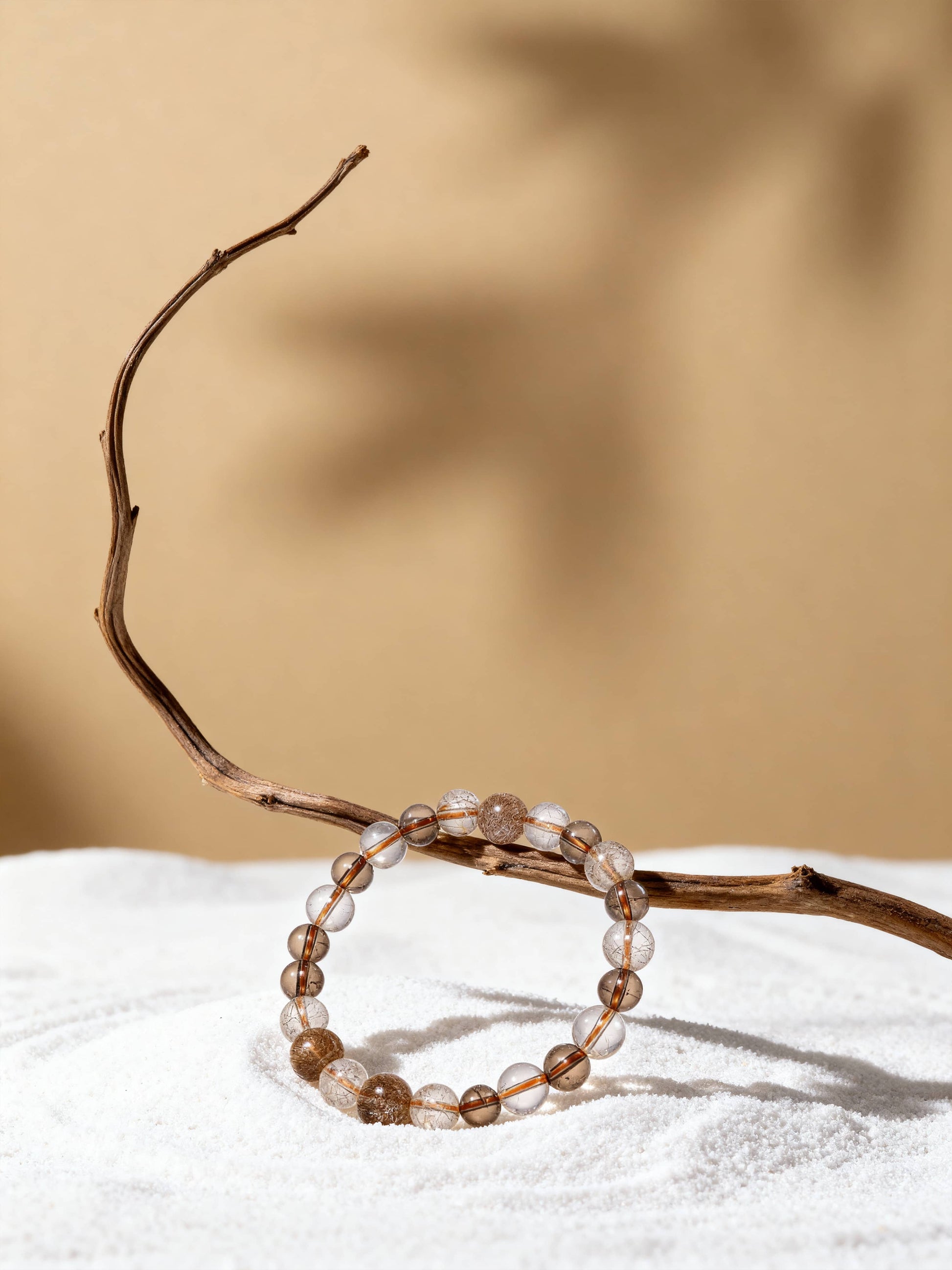 Silkroad Splendor｜The Odyssey Collection