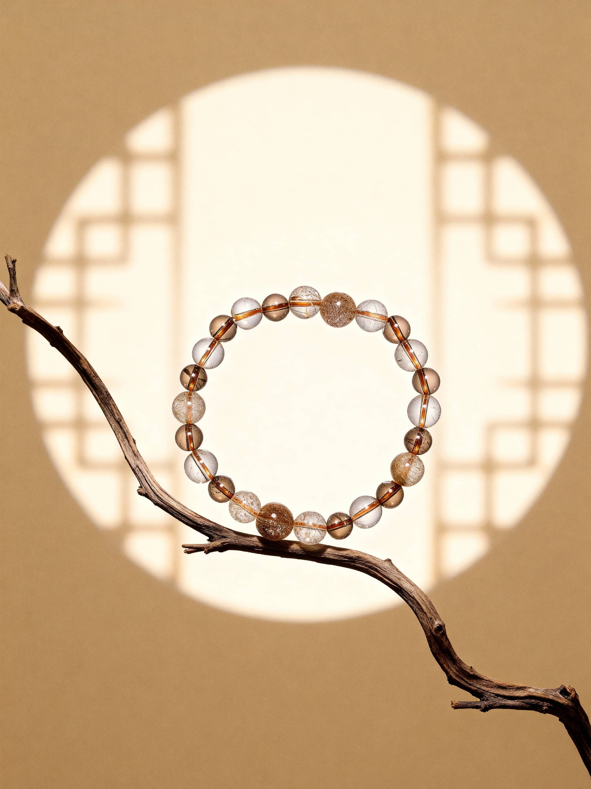 Silkroad Splendor｜The Odyssey Collection